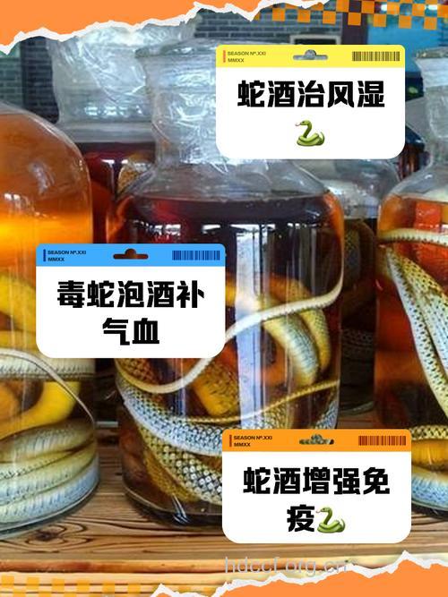 药酒可治疗蛇咬伤