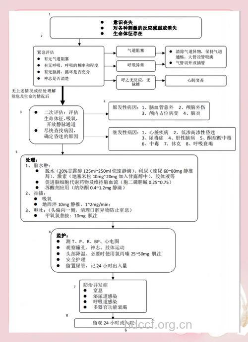 昏迷病人有什么急救要点