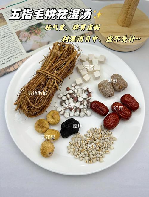 必看 夏季药膳煲汤大全