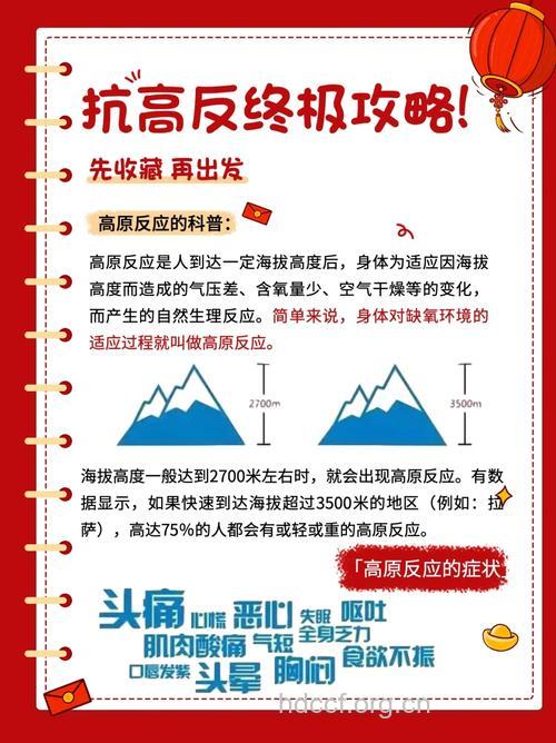 西藏旅游 出现高原反应如何处理?