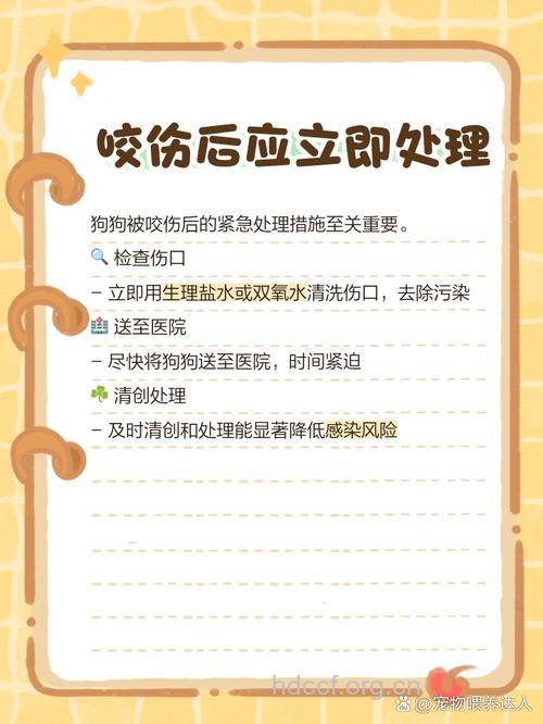 被宠物咬伤该如何急救?