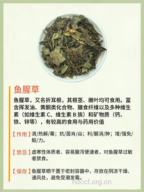 如何抗菌消炎 推荐10种中草药
