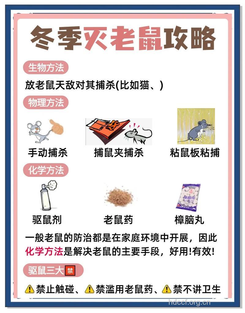 如何将老鼠＂拒之门外＂?