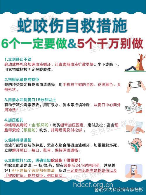 毒蛇咬伤的早期紧急自救