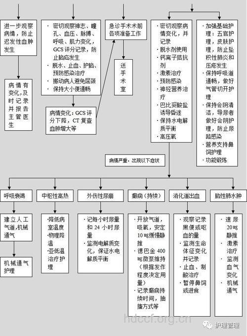 车祸后头部外伤如何急救?