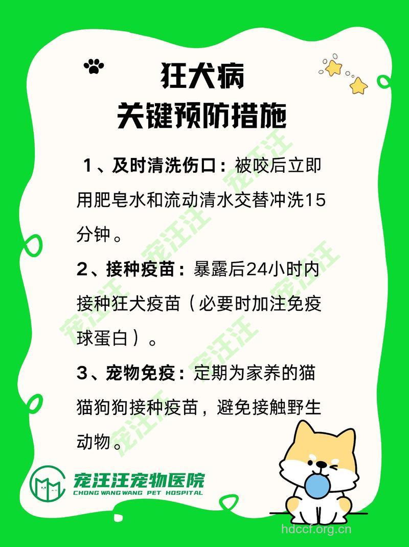关于狂犬病有什么预防护理方法