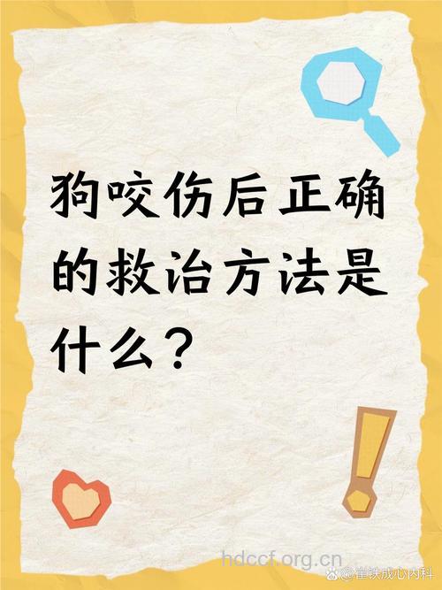 被狗咬伤后如何急救