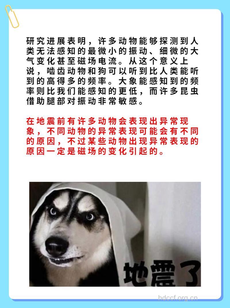动物行为反常可预测地震