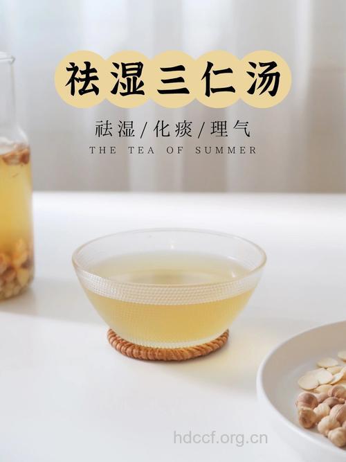湿热体质养生茶 三仁汤