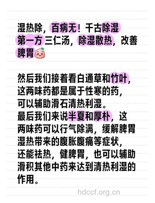 详解三仁汤配方有哪些