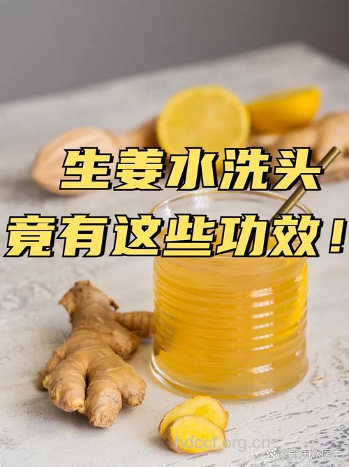 经常掉头发用生姜水洗一洗