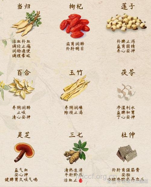 中药中的“四大外补”