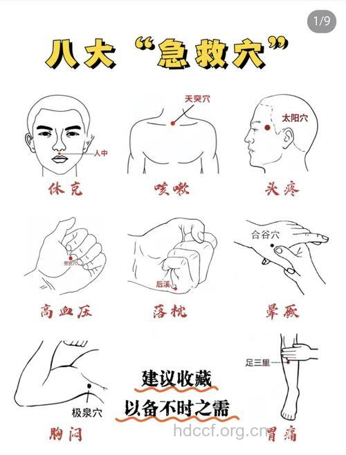 十个可用于急救的穴位