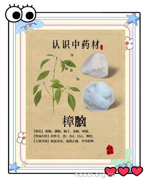 知道哪些有益脑的中药吗