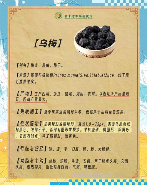 中药乌梅有哪些功效呢