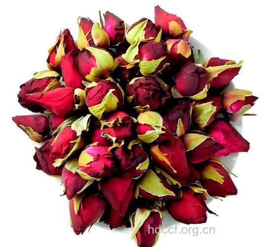 妇科良药――月季花