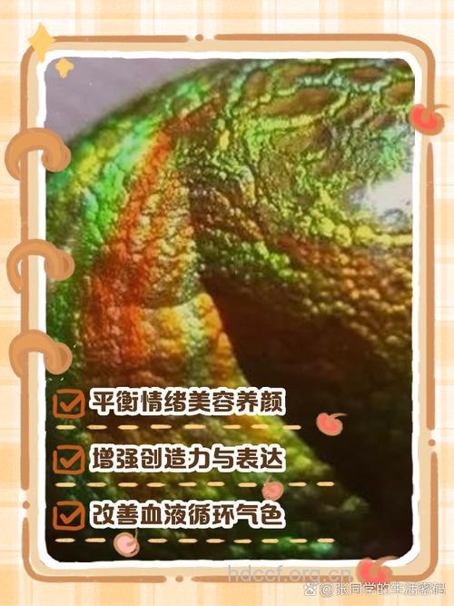 女性有哪些七彩养颜方法