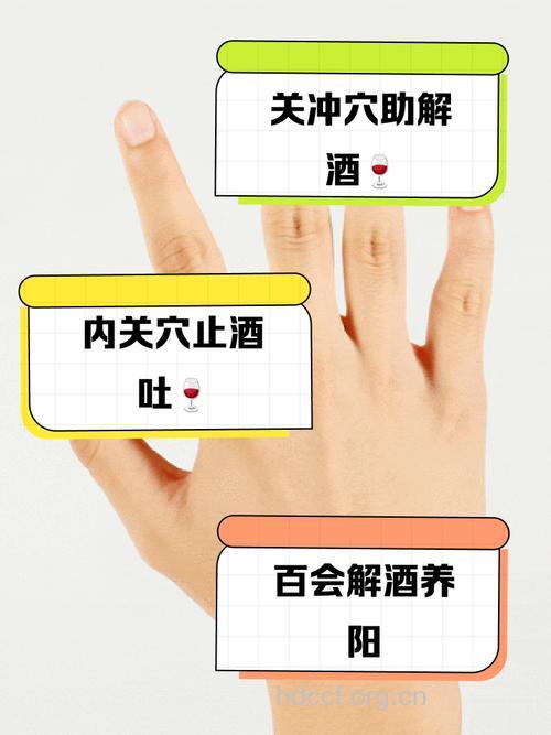 应酬必备：中医解酒妙招