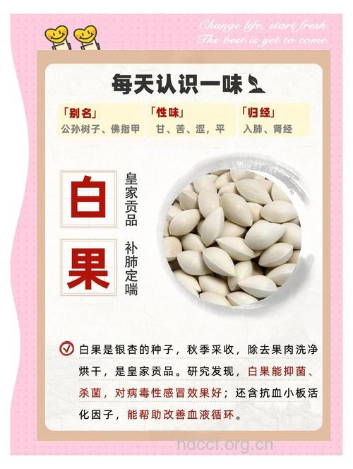 夏季怎么吃白果仁养颜