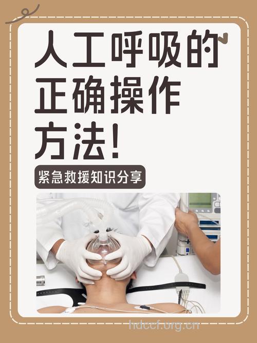 怎样正确进行人工呼吸?