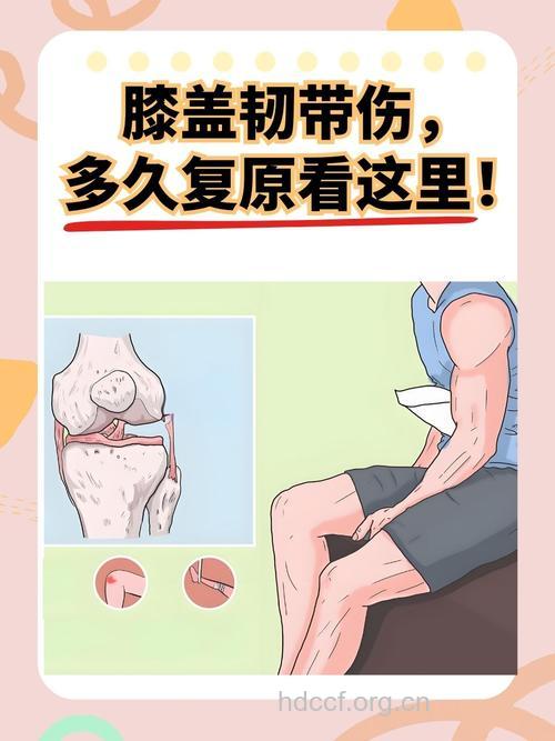 激烈运动注意膝部韧带