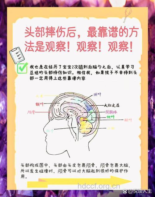 孩子头部跌伤后的注意事项