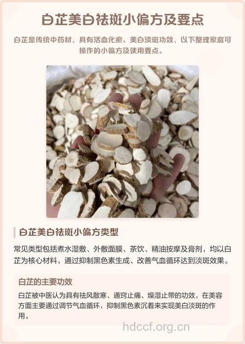 哪些白芷食疗方有助于美白