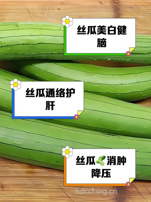 怎么用丝瓜抗皱美白