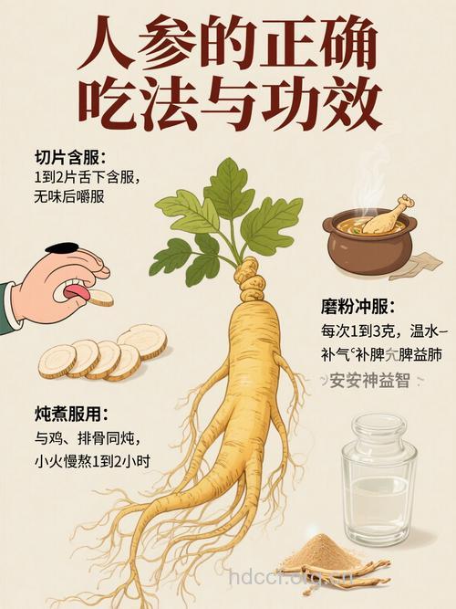 你知道怎么正确服用人参