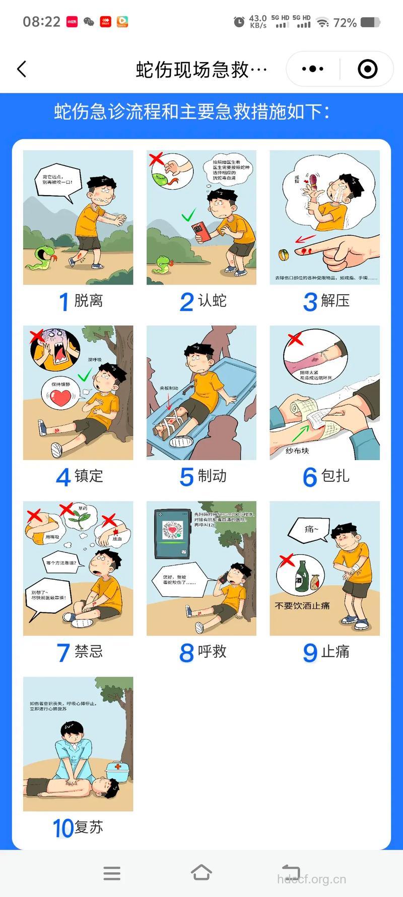 毒蛇咬伤的处理方法