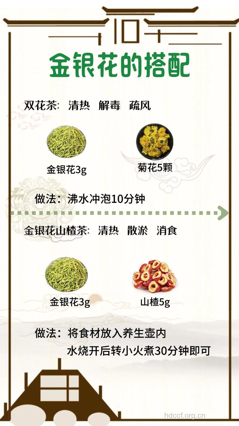 金银花怎么去煎煮使用