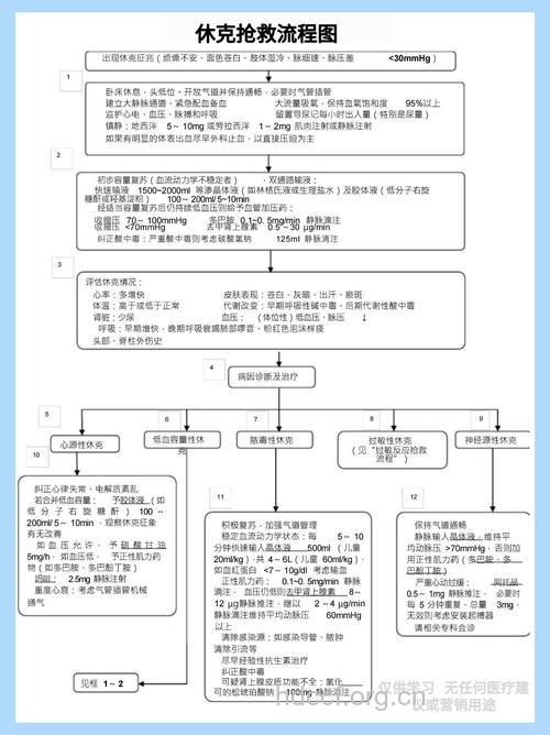 休克后该如何正确急救？