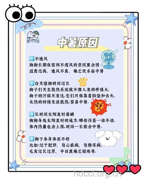 夏日防治中暑要注意什么