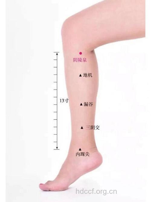 你知道膝盖上有个祛斑穴