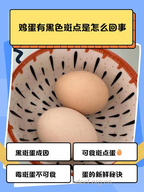 利用8点，可用鸡蛋祛斑