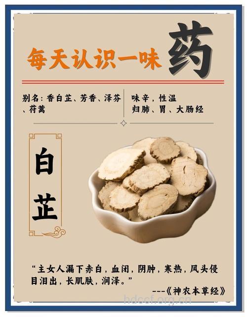中药白芷的作用有哪些