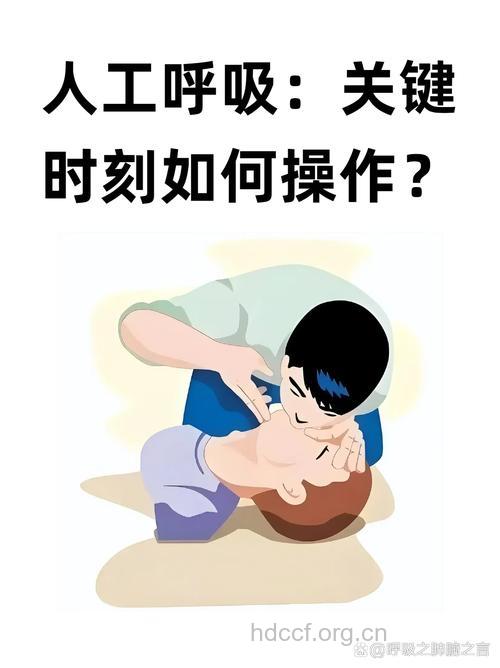 人工呼吸几种不同的方法