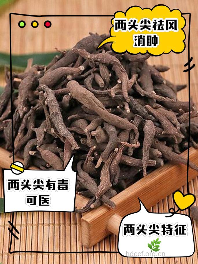两头尖有什么功效呢