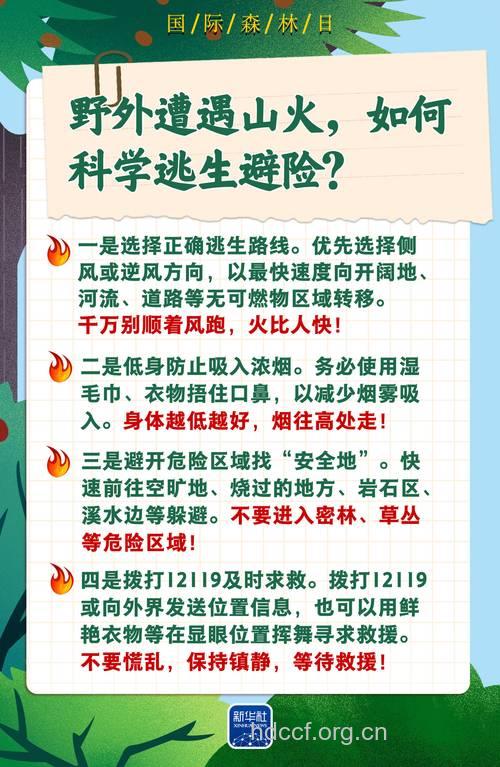 遇森林火灾如何逃生