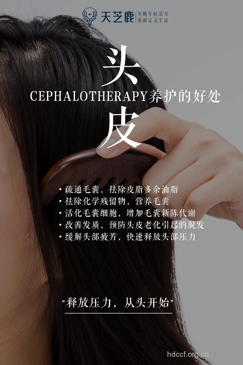 养护秀发从滋阴补肾开始