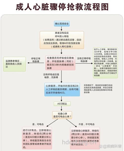 心脏骤停急救两步走