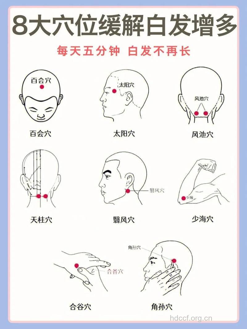 如何自我按摩防治脱发