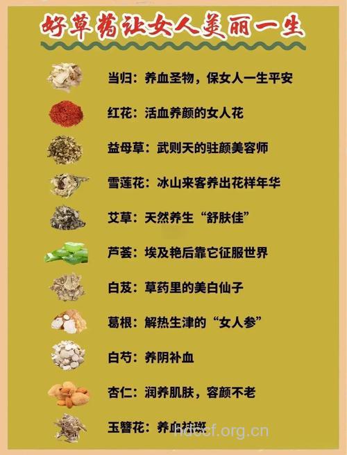 哪些中药方有助于美容护肤