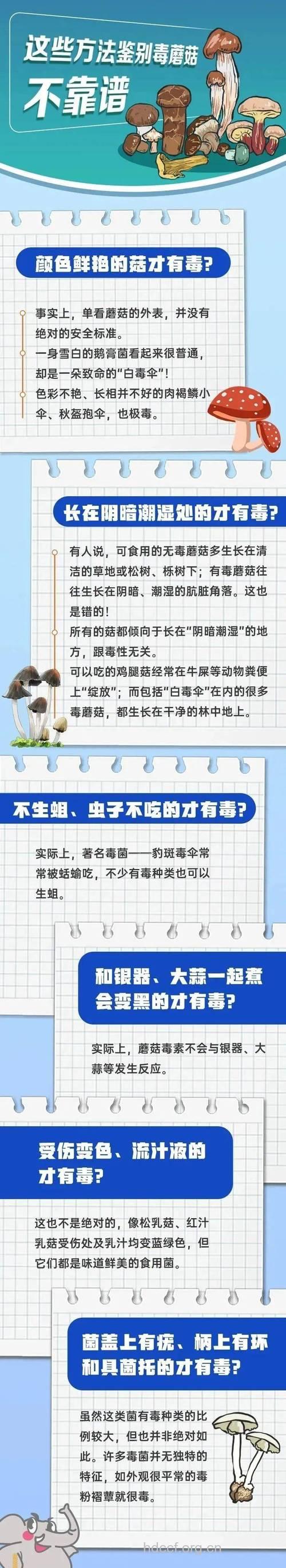 野生食物别乱吃,谨防中毒