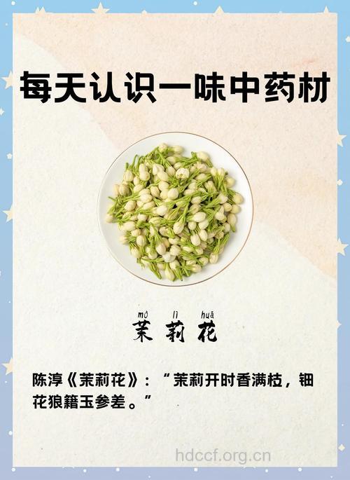 茉莉花根疗疾的验方