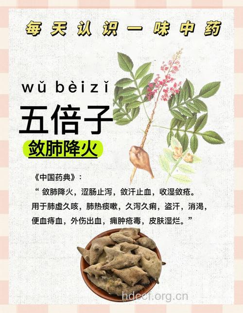 五倍子可治疗哪些病?