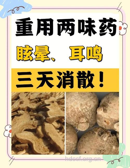 哪些中药对眩晕有效