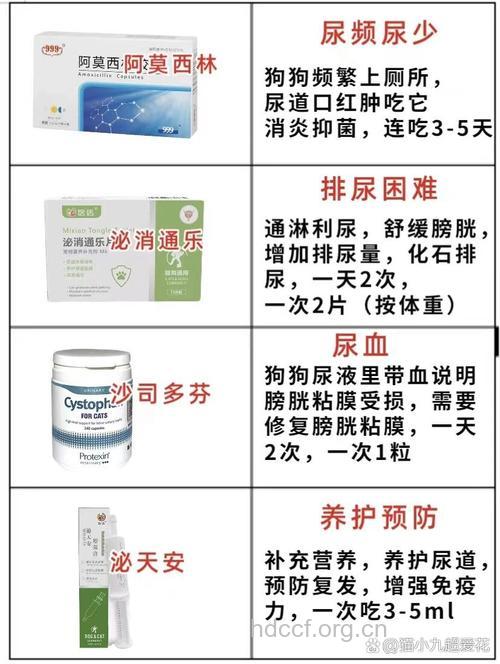 膀胱炎药物治疗的四种误区