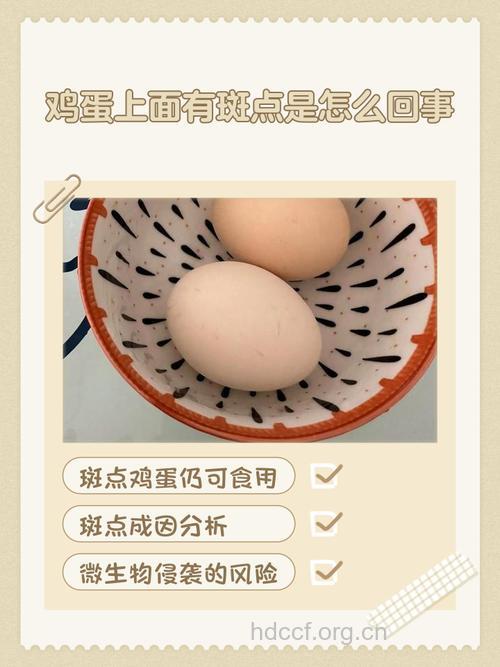 鸡蛋也能用来祛斑?