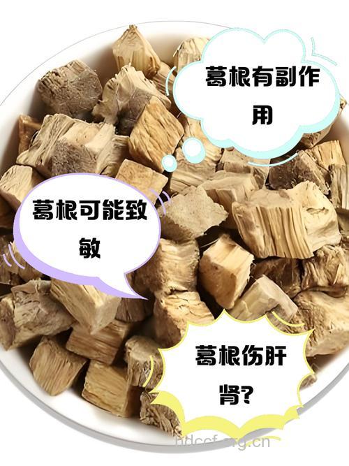 葛根素有哪些不良反应?